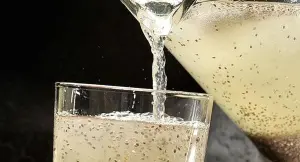 agua de chia com limao