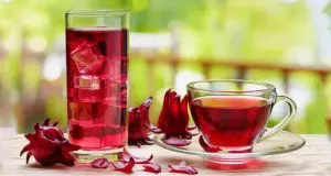 bebidas termogenicas