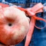 como fazer a dieta da maçã