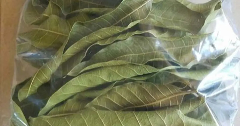 insulina natural