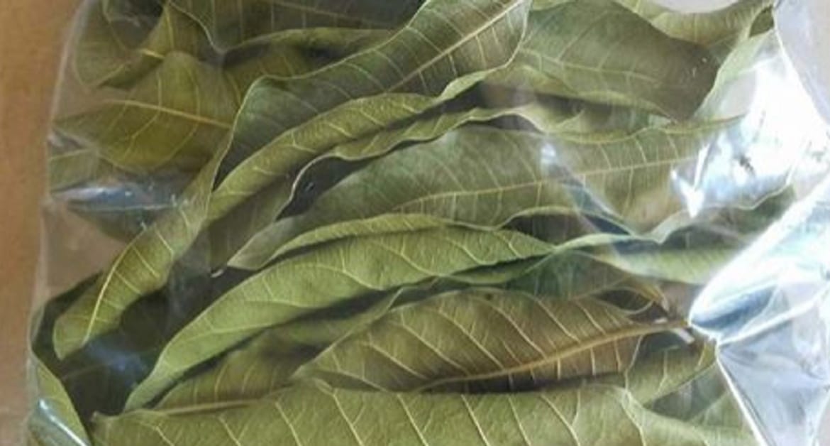 insulina natural