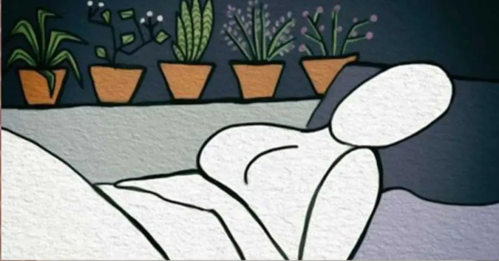 cha para dormir