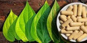 Plantas que combatem a insônia