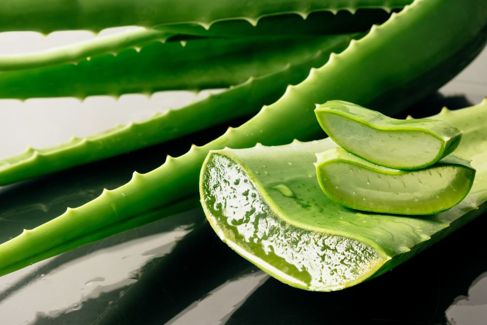 Beneficios do Aloe vera