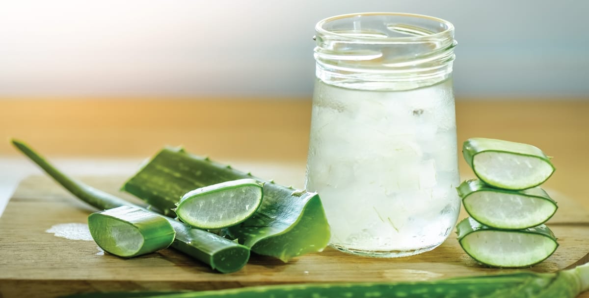 Aloe Vera beneficios, propriedades e contraindicaçoes