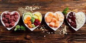 dietas para emagrecer