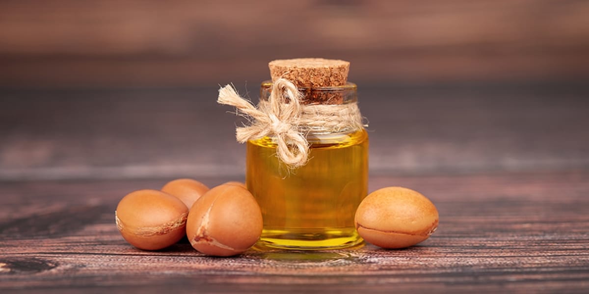 Óleo de argan beneficios, propriedades e usos para o corpo e saúde Óleo de argan beneficios, propriedades e usos para o corpo e saúde