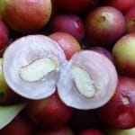 Vitamina C