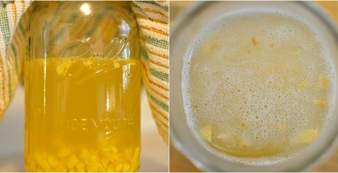 Gengibre fermentado
