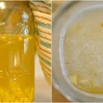 Gengibre fermentado