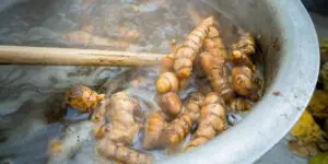 curcuma