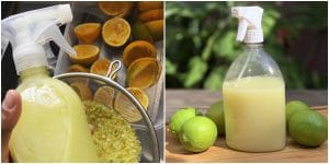 desinfetante de limão