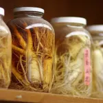 ginseng