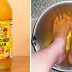 vinagre de maçã