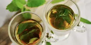 chás medicinais