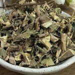 erva cidreira para ativar a memória