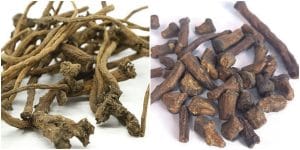 chá de ervas medicinais