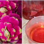 chá feito de cascas de pitaya