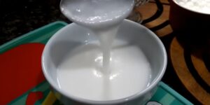 leite em pó de coco para diabéticos