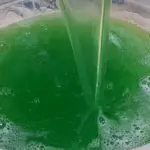 detergente de limão e bicarbonato