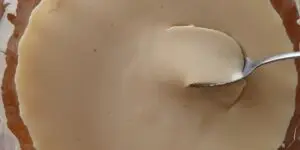 iogurte de grão de bico