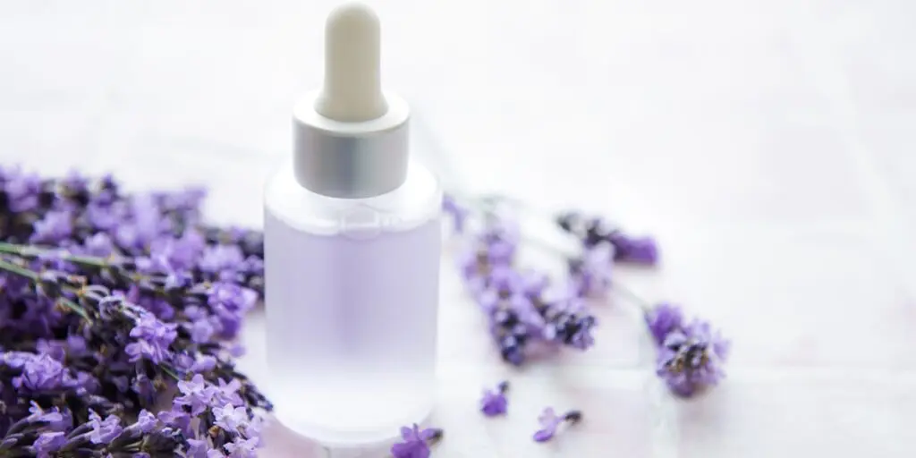 essência caseira de lavanda