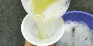 shampoo natural de babosa