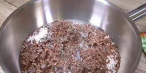 Colágeno 100% natural