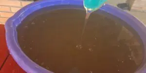 sabão neutro transparente