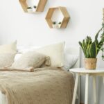 plantas dentro do quarto que ajudam a dormir melhor