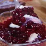 sagu de vinho